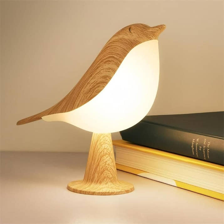 AviGlow: Touch Dimmable Bird Table Lamp with Aromatherapy – USB Rechargeable LED Night Light for Bedroom & Desk - Juggledrops