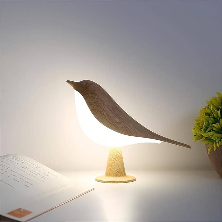 AviGlow: Touch Dimmable Bird Table Lamp with Aromatherapy – USB Rechargeable LED Night Light for Bedroom & Desk - Juggledrops