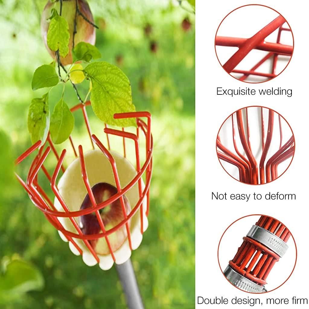 PickPro: Lightweight Metal Fruit Picker Basket for Mangoes, Apples & More - Juggledrops