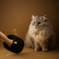 PetCare: Hair Removal Gloves – Easy Grooming for Dogs & Cats - Juggledrops