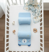 BabyNest:Newborn Head Support Pillow – Anti-Head Tilt, Breathable & Natural Millet Filling - Juggledrops