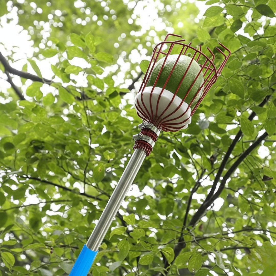 PickPro: Lightweight Metal Fruit Picker Basket for Mangoes, Apples & More